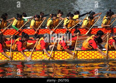 KAOHSIUNG, TAIWAN - JUNE 11: Two unidentified female teams compete in the 2013 Dragon Boat Races on the Love River on June 11, 2013 in Kaohsiung Stock Photo