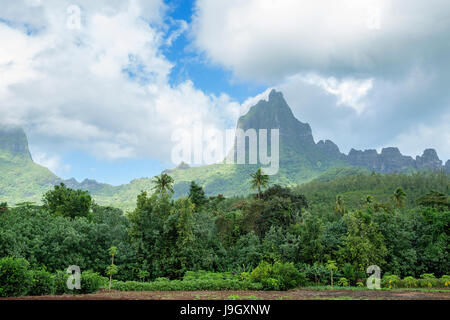 View of Mount Rotui on Moorea island in French Polynesia Stock Photo