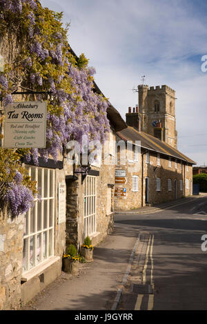 UK England, Dorset, Abbotsbury, Market Street, wisteria clad tea room and St Nicholas parish church Stock Photo