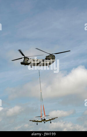 Culdrose, UK. 1st Jun, 2017. Final Flight – but with a hot future. Two retired aircraft made their final flights from RNAS Culdrose today with the helping hand of a Chinook helicopter. The old Royal Navy aircraft were moved across the Lizard Peninsula as ‘under-slung loads’ by a heavy lift RAF helicopter, and taken to their final resting place at Predannack airfield.  Credit: Bob Sharples/Alamy Live News Stock Photo