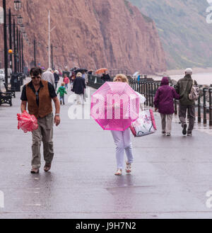 Sidmouth, Devon, 2nd June 17 Umbrellas to the fore in Sidmouth, as light rain sweeps across the Souith West Credit: Photo Central/Alamy Live News Stock Photo