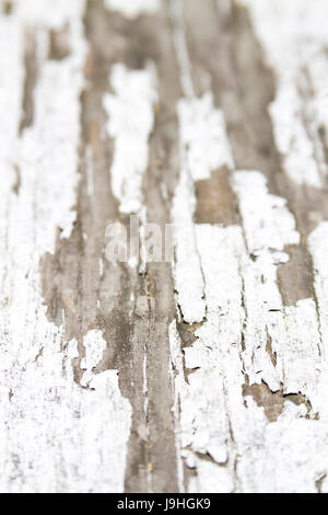 Old wooden railing with white chipped paint Stock Photo
