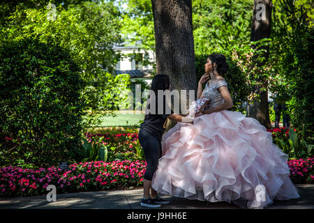 young girl dressed for the Quinceanera or Quince, the celebration of a girl's fifteenth birthday in Arboretum in Dallas, Texas Stock Photo
