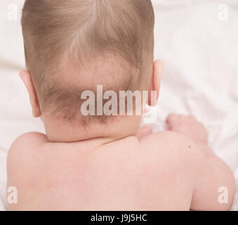 close up of baby bald patch Stock Photo