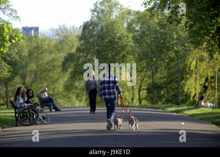 Glasgow Kelvingrove park scene dog walkers Stock Photo