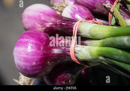 Red spring onions at the USDA Farmers Market May 26, 2017 in Washington, D.C. Stock Photo