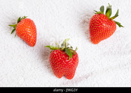Erdbeeren Stock Photo