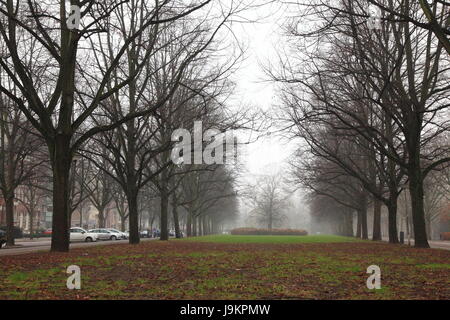 The gardens look amazing during winter in foggy climate Stock Photo