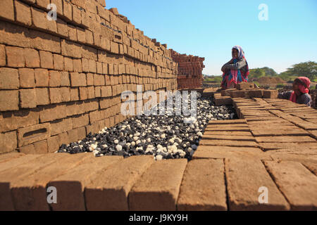 woman working in brick factory, Madhya Pradesh, India, Asia Stock Photo