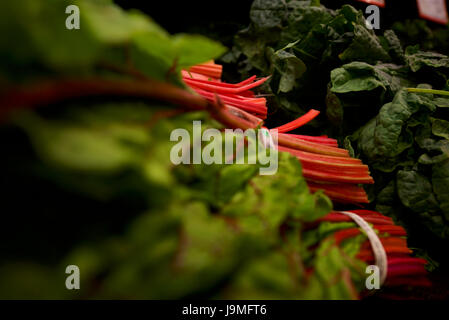 Bunches of spinach for sale in a vegetable market.