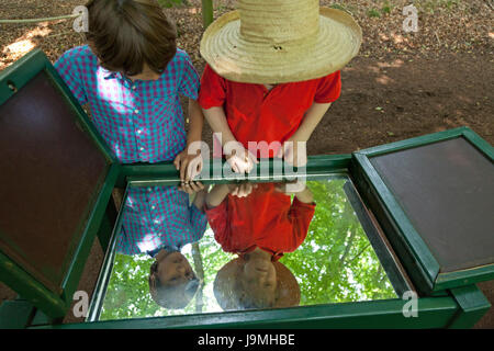 boys looking into mirror at barefoot trail, Egestorf, Lower-Saxony, Germany Stock Photo