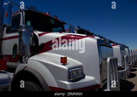 Rows of Brand New Semi-Trucks Parked at a Dealership in the United States. All Trademarks and Logos Removed. Stock Photo