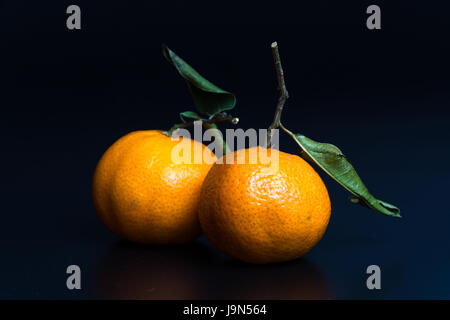 Two mandarins on black background Stock Photo