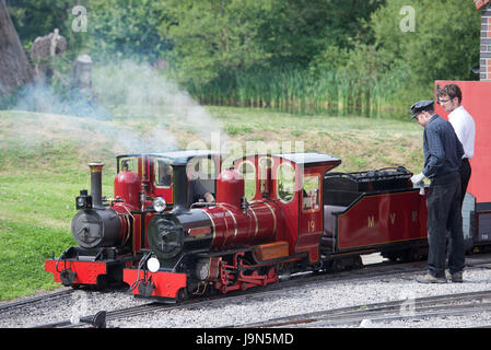 Narrow gauge steam locomotive Stock Photo