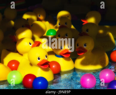 Rubber duck game on the midway of a county fair Stock Photo - Alamy