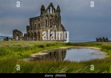 Moody summer day view of the monastic ruins of the Benedictine abbey and its reflection in pool at Whitby, Yorkshire, England, UK Stock Photo