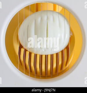 Egg on an egg slicer Stock Photo
