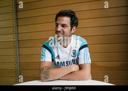 Cesc Fabregas, photographed at the Chelsea FC Cobham Training Ground. Stock Photo