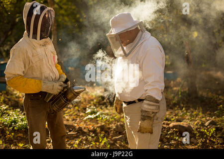 Honey is harvested from beehives and frames in Leon Department, Nicaragua. Stock Photo