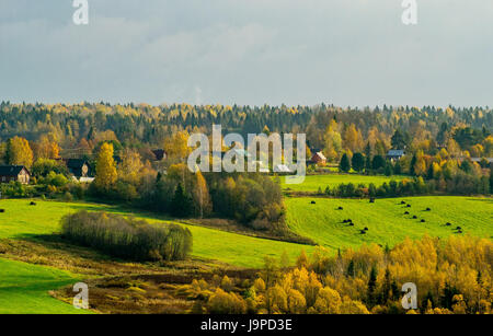 Autumn morning in the Vologda region of Russia Stock Photo - Alamy