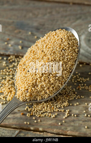 Raw Organic White Poppy Seeds in a Bowl Stock Photo