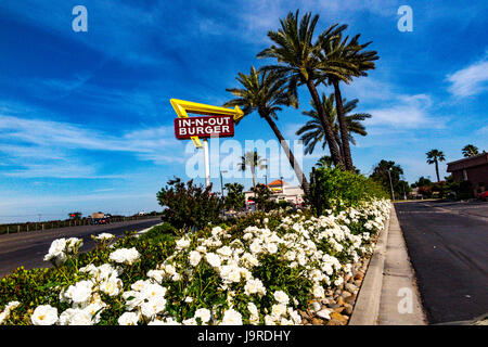 An In-N-Out Hamburger in Modesto California Stock Photo