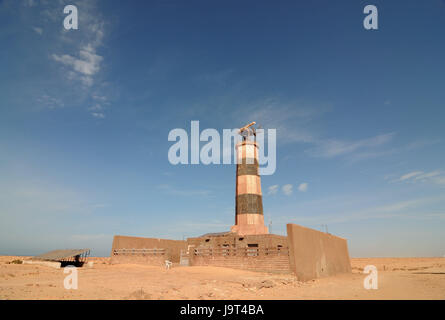 Bones of a washed up whale along the Mauritanian coast Stock Photo