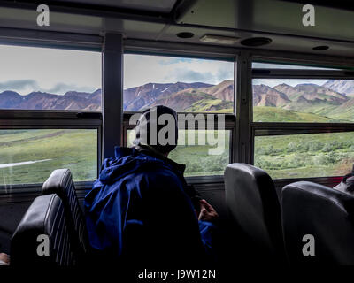 View of tourist from inside Denali National Park, Alaska, United States shuttle tour  bus with green mountains visible in windows. Stock Photo