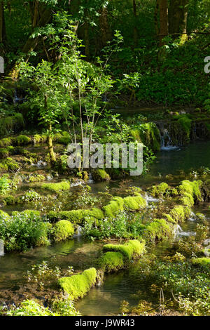 Travertine terraces, travertine creek in the natural monument Lillachtal, Weißenohe-Dorfhaus, Franconian Switzerland natural Stock Photo