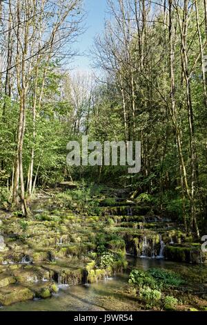 Travertine terraces, travertine creek in the natural monument Lillachtal, Weißenohe-Dorfhaus, Franconian Switzerland natural Stock Photo