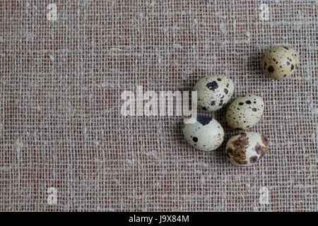 Several quail eggs on burlap. Close-up. Stock Photo