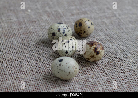 Several quail eggs on burlap. Close-up. Stock Photo