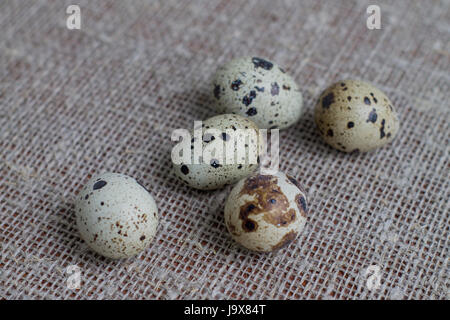 Several quail eggs on burlap. Close-up. Stock Photo