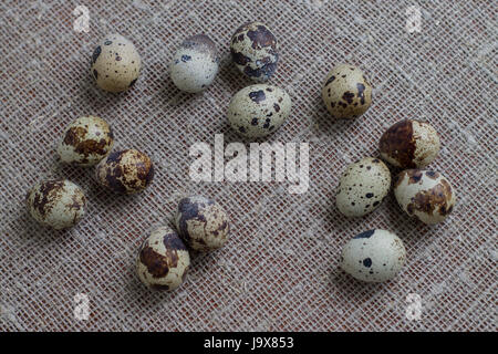 Several quail eggs on burlap. Close-up. Stock Photo