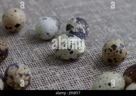 Several quail eggs on burlap. Close-up. Stock Photo