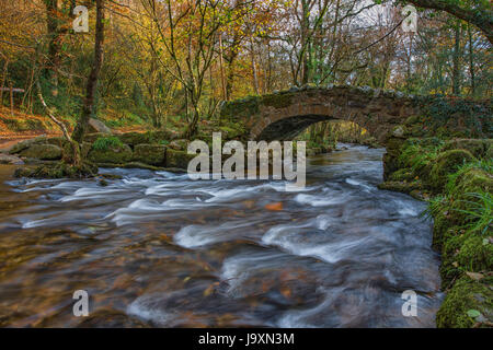 Hisley packhorse bridge over the River Bovey nr Lustleigh on Dartmoor. Stock Photo