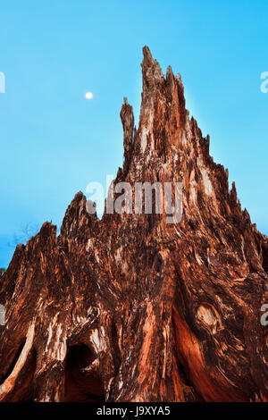 Panama landscape with dry root and moon in Sarigua National Park (desert), Herrera province, Republic of Panama, Central America. Stock Photo