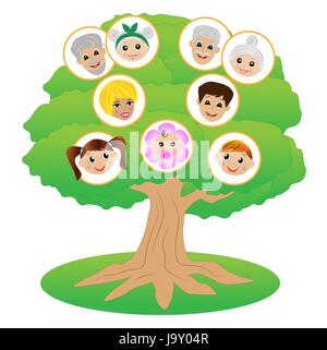 illustration with a picture of the genealogical family tree Stock Photo