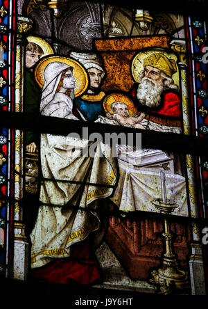 Stained Glass window in St Gummarus Church in Lier, Belgium, depicting The Presentation of Jesus at the Temple Stock Photo