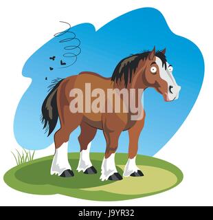 Vector illustration funny cartoon horse isolated on white background Stock Vector