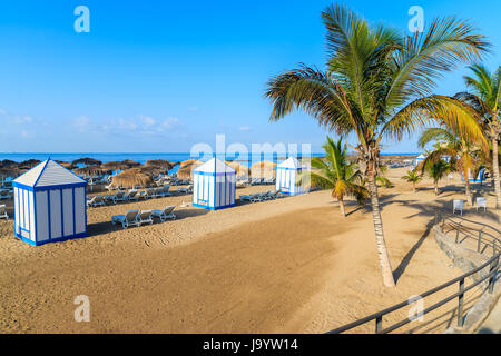 Palm trees on El Duque beach in Costa Adeje seaside town, Tenerife, Canary Islands, Spain Stock Photo