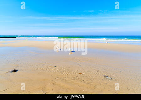 Seagulls in water on Kampen beach, Sylt island, North Sea, Germany Stock Photo