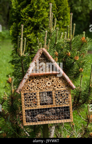 Wooden insect house in a summer garden Stock Photo