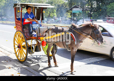 Oct 29, 2016 Horse with carriage in Intramuros, Manila, Philippines Stock Photo