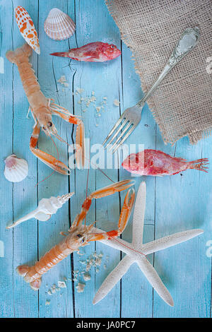 Concept of sea on the table: raw lobsters, scorpionfish and seashells on blue wooden background. Stock Photo