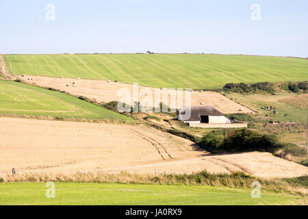 A traditional barn sits amongst fields of cereal crops, cattle pastures and hay bales in the Purbeck district of south Dorset. Stock Photo