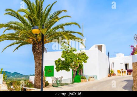 Street with white typical houses and palm tree in countryside area near Santa Eularia town, Ibiza island, Spain Stock Photo