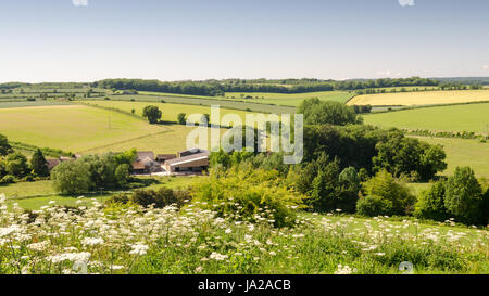 Agricultural fields and chalk downland around the sparsely populated Tarrant Valley in England's Dorset Downs hills. Stock Photo