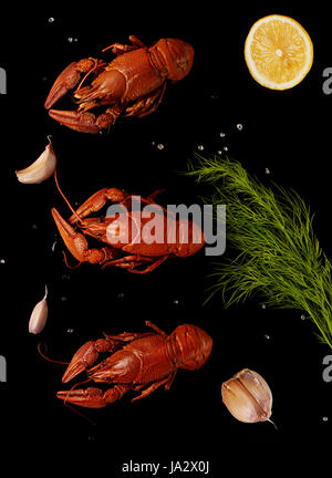 Three boiled crayfishes with sea salt, garlic, lemon and dill isolated on black background Stock Photo