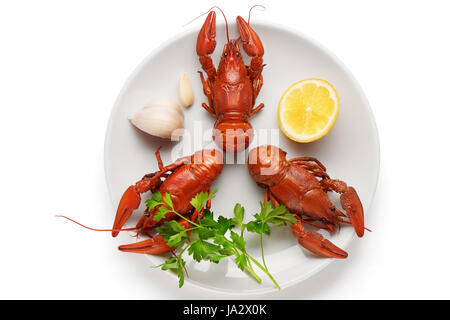 Three boiled crayfishes on white ceramic plate with garlic, lemon and parsley isolated on white background Stock Photo